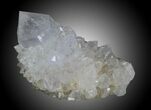 Cactus Quartz Crystals - South Africa #33916-1